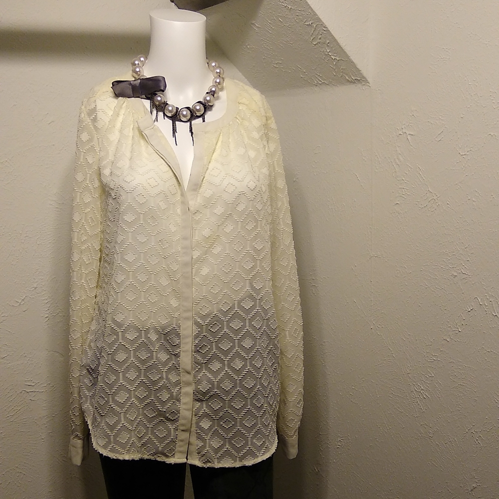 Sheer, button down blouse, sz Sml